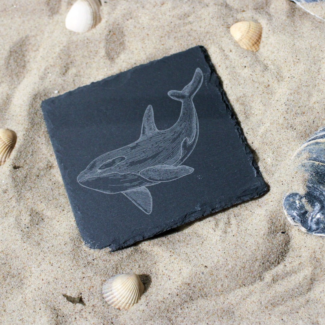 Untersetzer aus Schiefer "Orca" | 10x10cm - INSELLIEBE USEDOM